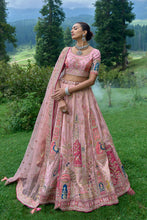 Load image into Gallery viewer, Light Pink Silk Resham Embroidered Panelled Lehenga
