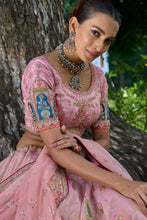 Load image into Gallery viewer, Light Pink Silk Resham Embroidered Panelled Lehenga