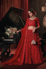 Load image into Gallery viewer, Red Floral Applique Work Net Lehenga Choli