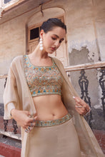 Load image into Gallery viewer, Chiku Sharara Choli With Hand Embroidery Blouse &amp; Cape