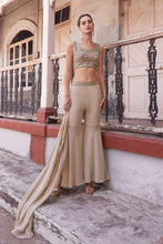 Load image into Gallery viewer, Chiku Sharara Choli With Hand Embroidery Blouse &amp; Cape